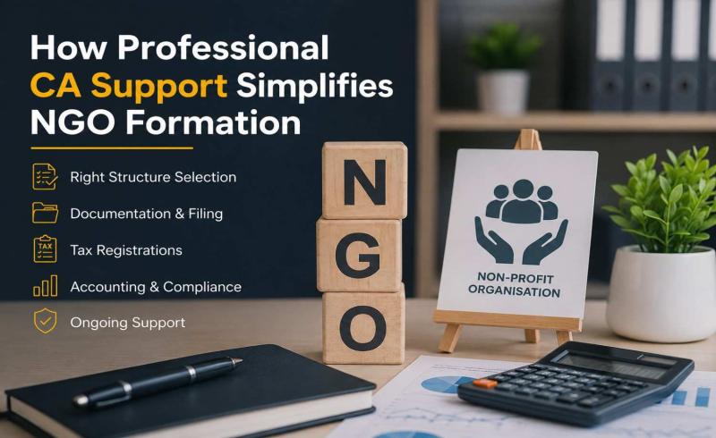 How Professional CA Support Simplifies NGO Formation